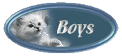 Click here to see the Ragdoll Boys